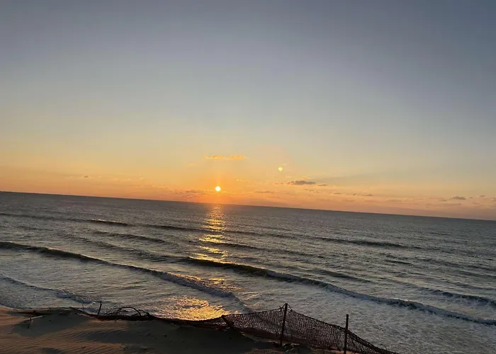 Nyaraló Maison De Conviviale Pres Du Avec Wi-fi, - Fr-1-831-17 Biscarrosse