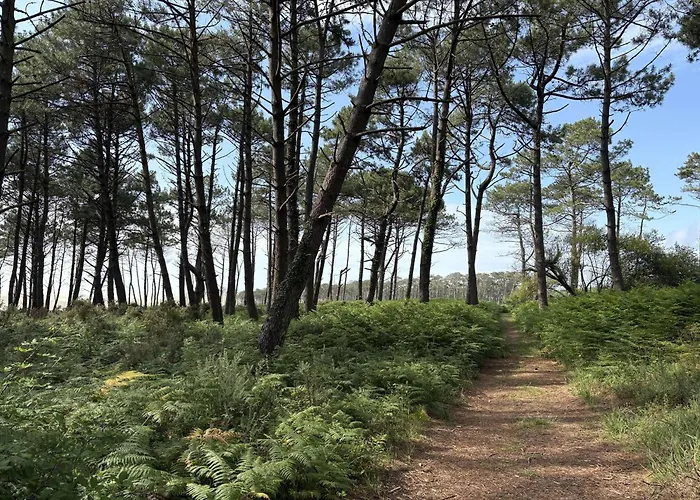 Maison De Conviviale Pres Du Avec Wi-fi, - Fr-1-831-17 Nyaraló